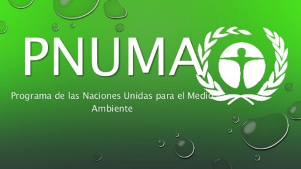 El cambio climático también se combate desde los tribunales