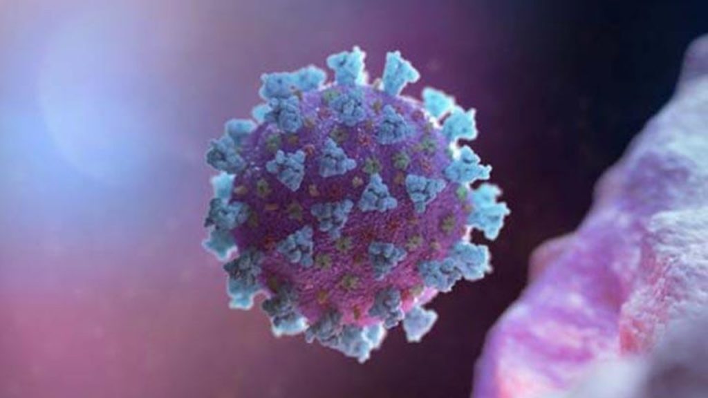 Brasil identifica infección simultánea por dos cepas de coronavirus