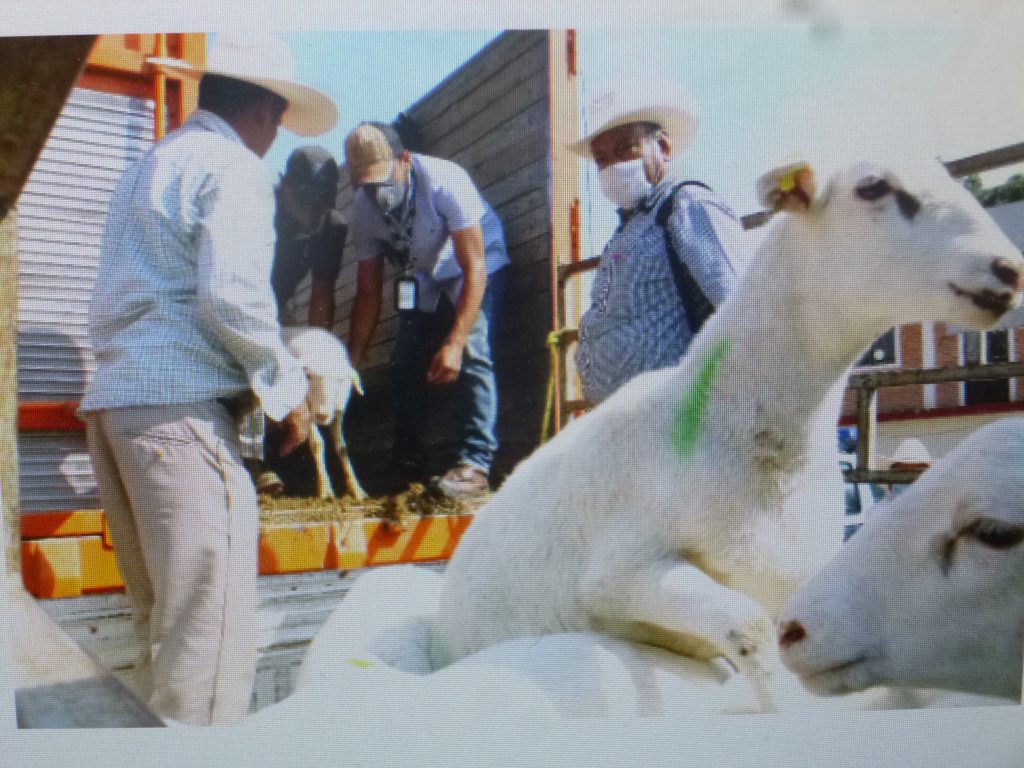 La Secretaría de  Desarrollo Rural continúa con los apoyos directos a productores