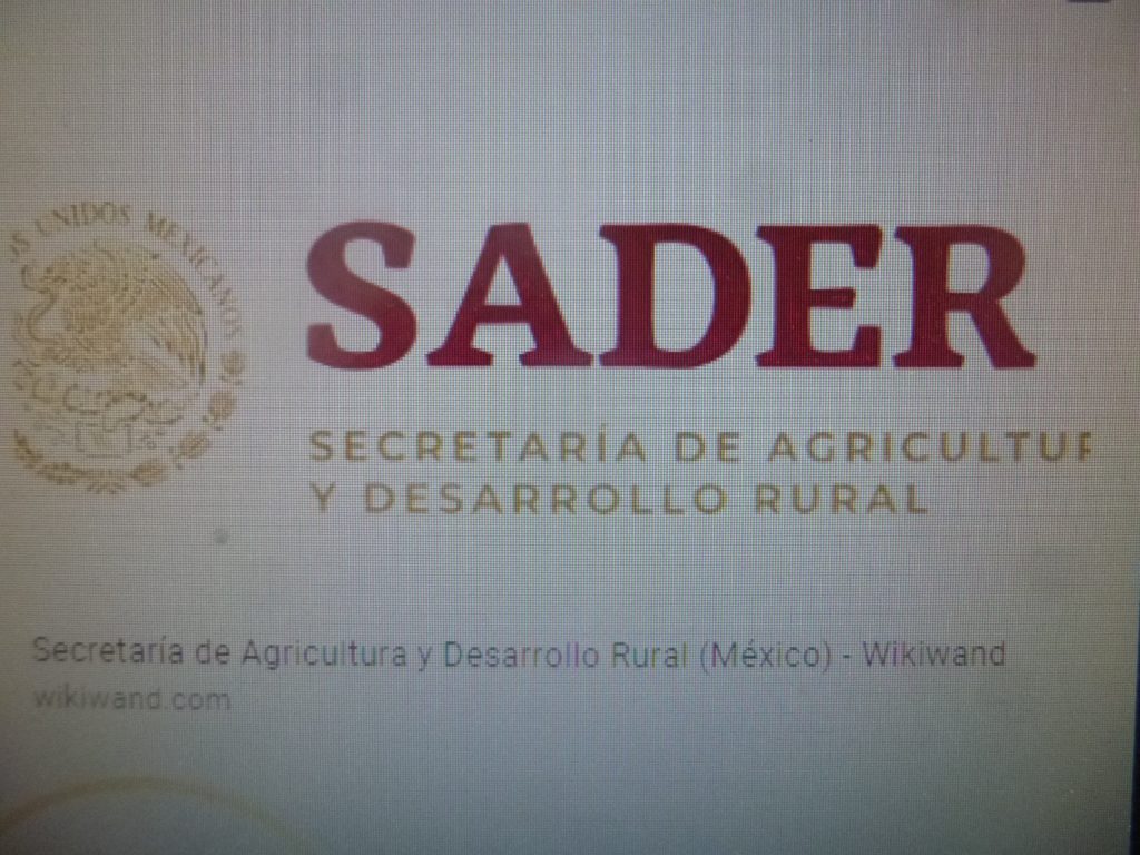 En la Secretaría de Agricultura federal sigue bajando el número de trabajadores