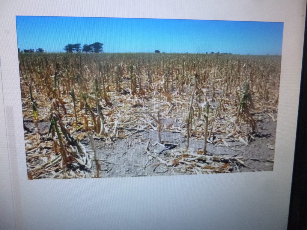 México deberá importar alimentos por la escasez de agua en las regiones agrícolas del centro y norte del país, alertan