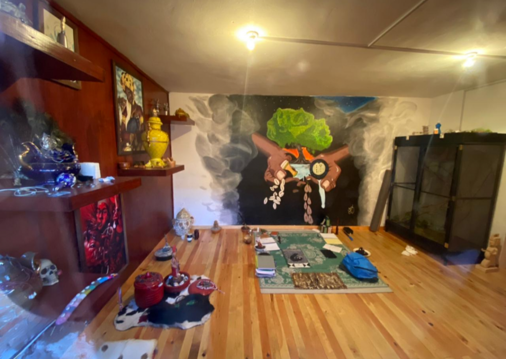 Hallaron Medio Ambiente y Policía Estatal sitio donde  presumiblemente escondían a un tigre