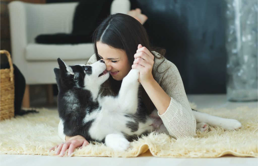 ¿Tienes mascotas? Conoce los estados donde hay más veterinarios