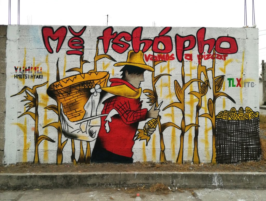 Promueve ITC preservación de la lengua otomí en Ixtenco.