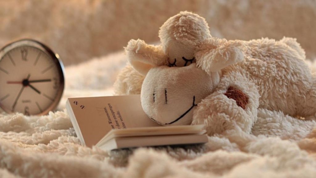 Mitos y realidades del sueño en adultos y bebés