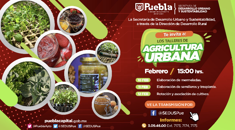 Ayuntamiento de Puebla impulsa la agricultura urbana con talleres virtuales