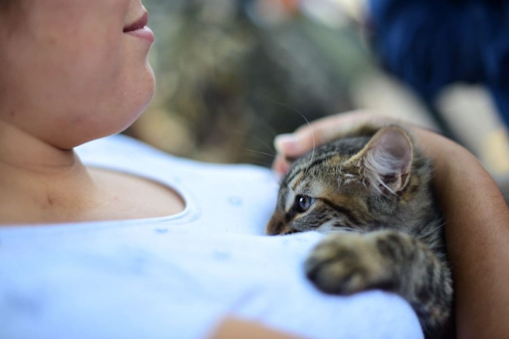 Ayuntamiento de Puebla invertirá 11.9 millones para dignificar Centro de Protección Animal Zona Sur