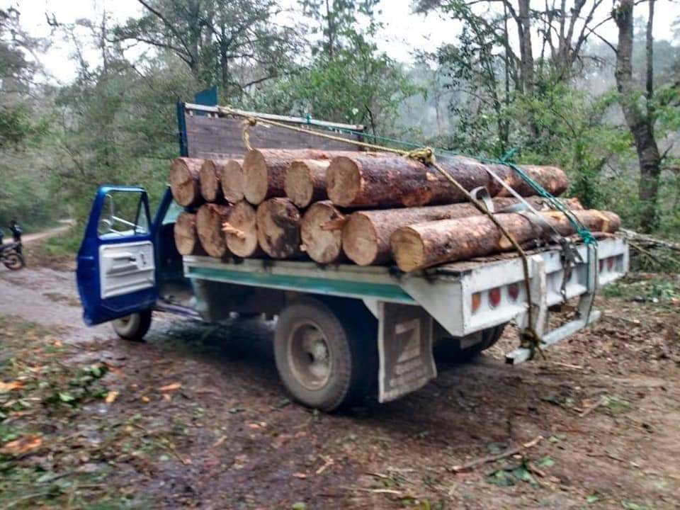 Detienen a traficante de madera en Huauchinango