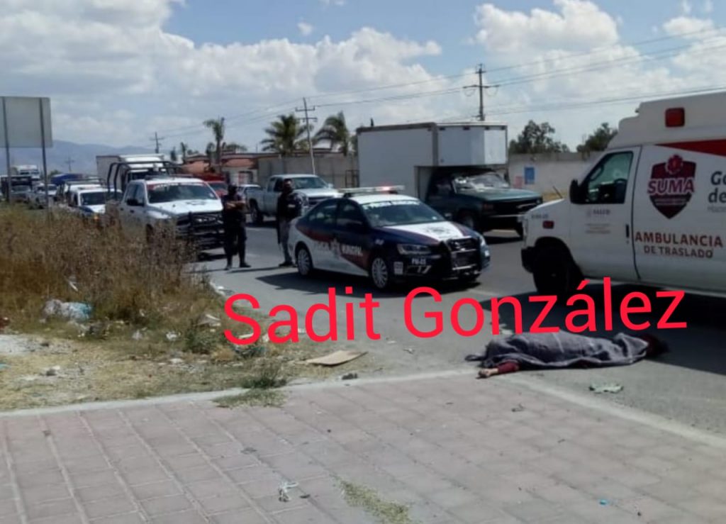 Teresa, mujer de la tercera edad, en plena carretera se bajó del carro y se agachó para recoger cosas, pero la mataron al arrollarla