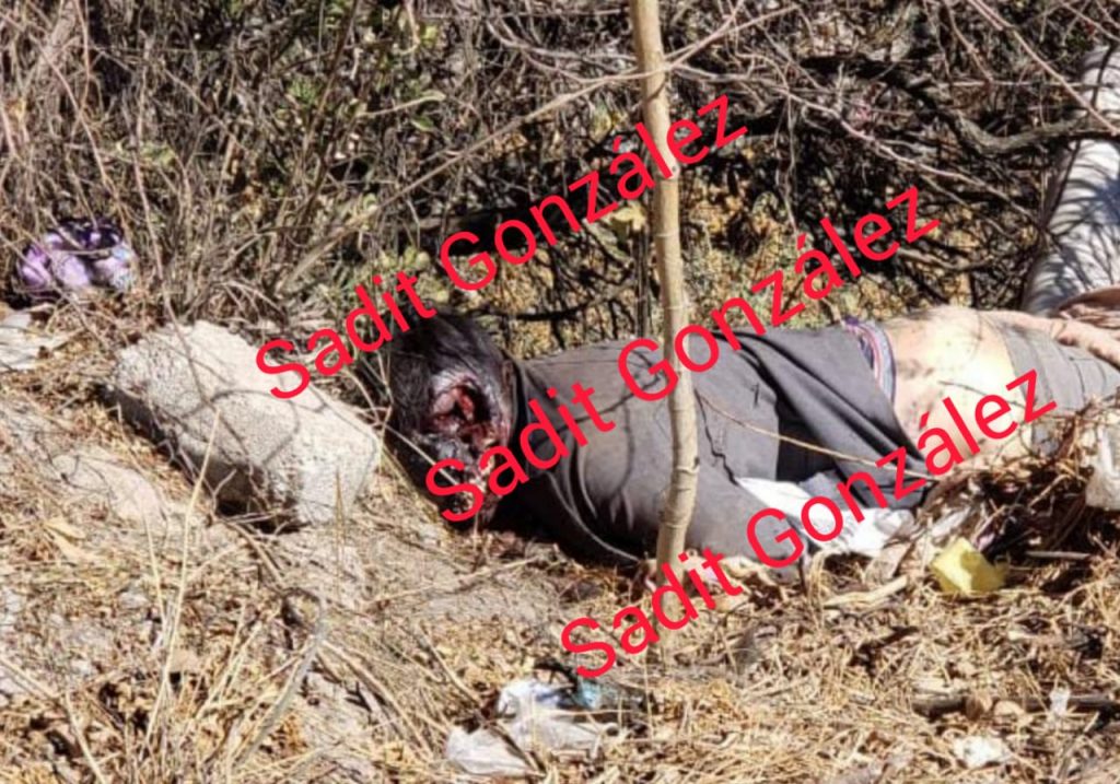 Hallan cuerpo en estado de descomposición en Lomas Flor del Bosque