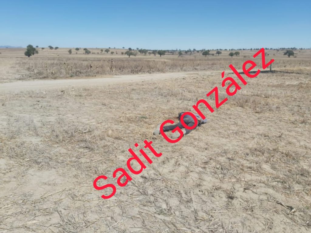 Encuentran a dos hombres ejecutados en San José Chiapa