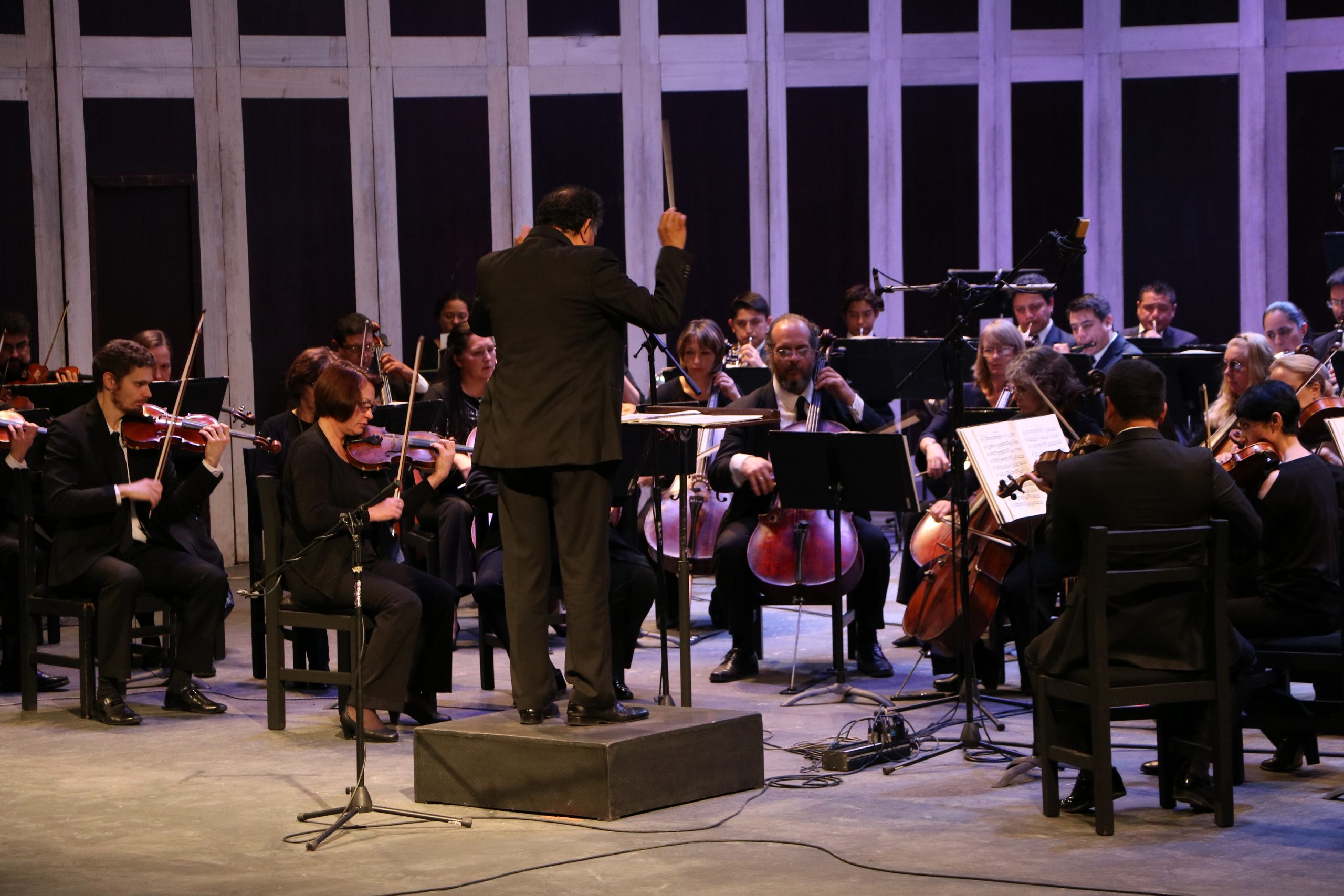 Triple Concierto, de Beethoven, en concierto virtual de la OSSLP