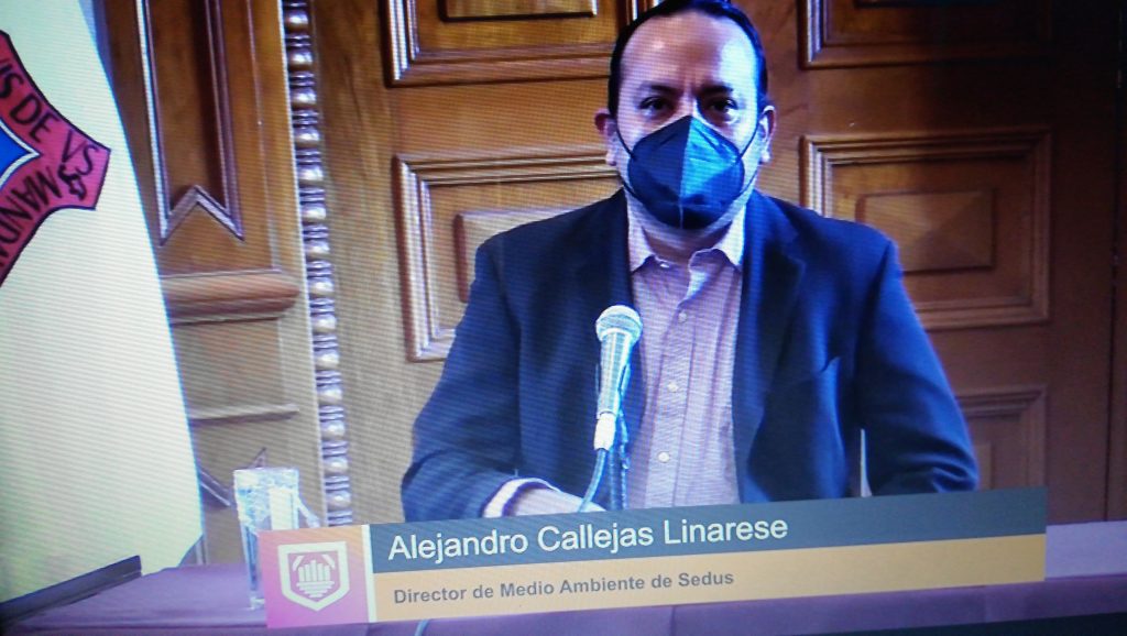 Video desde Puebla: 12 árboles del zócalo necesitan poda porque representan un riesgo para los ciudadanos, advirtió Alejandro Callejas