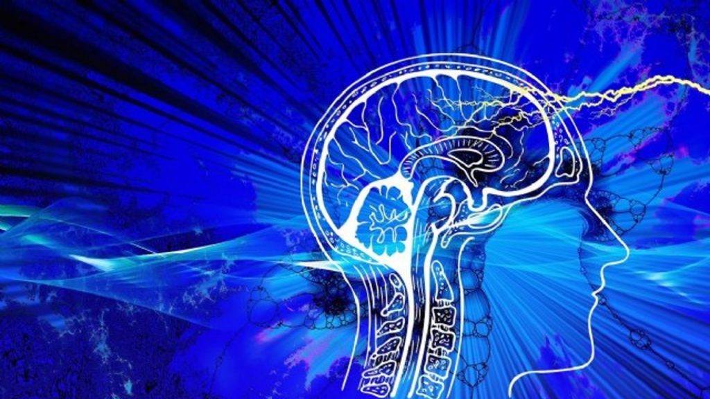 Creados algoritmos para entender  la relación de las conexiones cerebrales con los movimientos