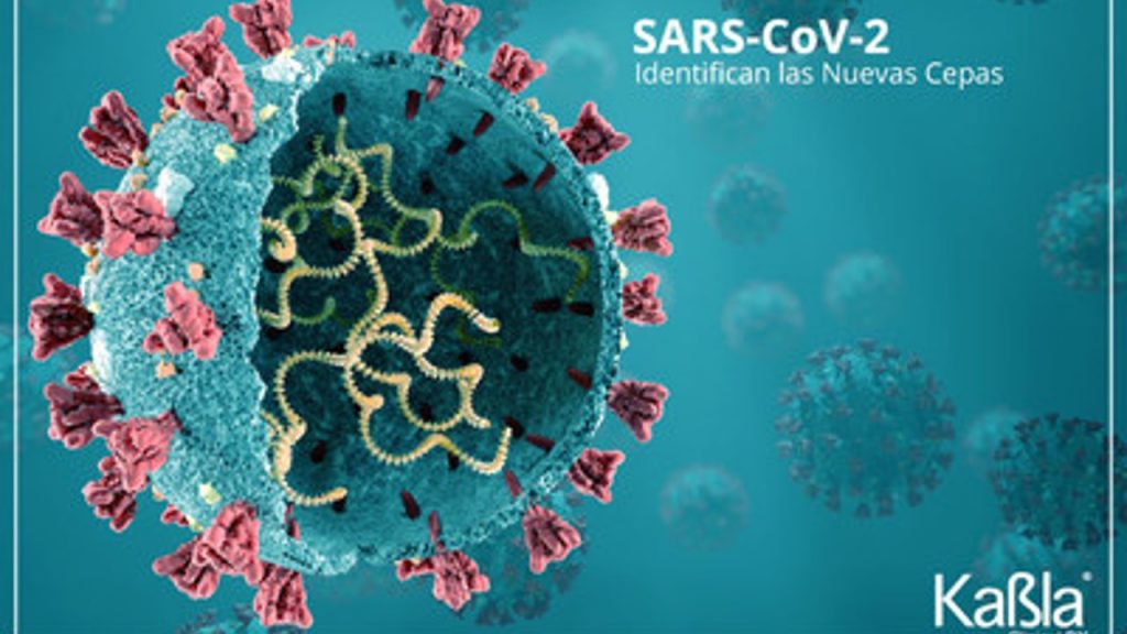 Los test PCR VIASURE identifican las cepas británica, brasileña y sudafricana