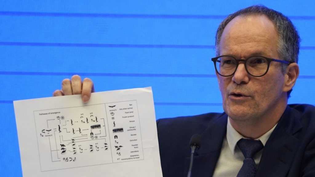 El equipo de la OMS en China considera muy improbable que el coronavirus saliera de un laboratorio y apunta a su origen animal