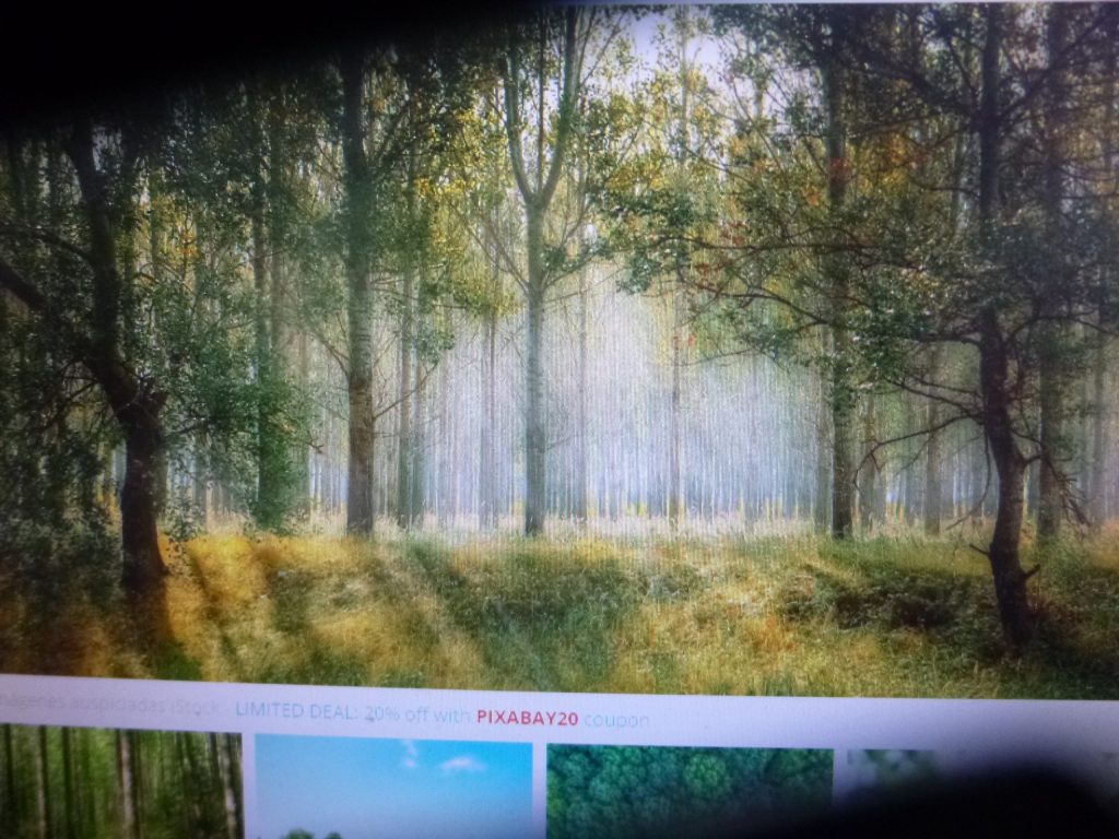 Los humanos provocan el 99% de los incendios forestales, advirtió el gobierno estatal