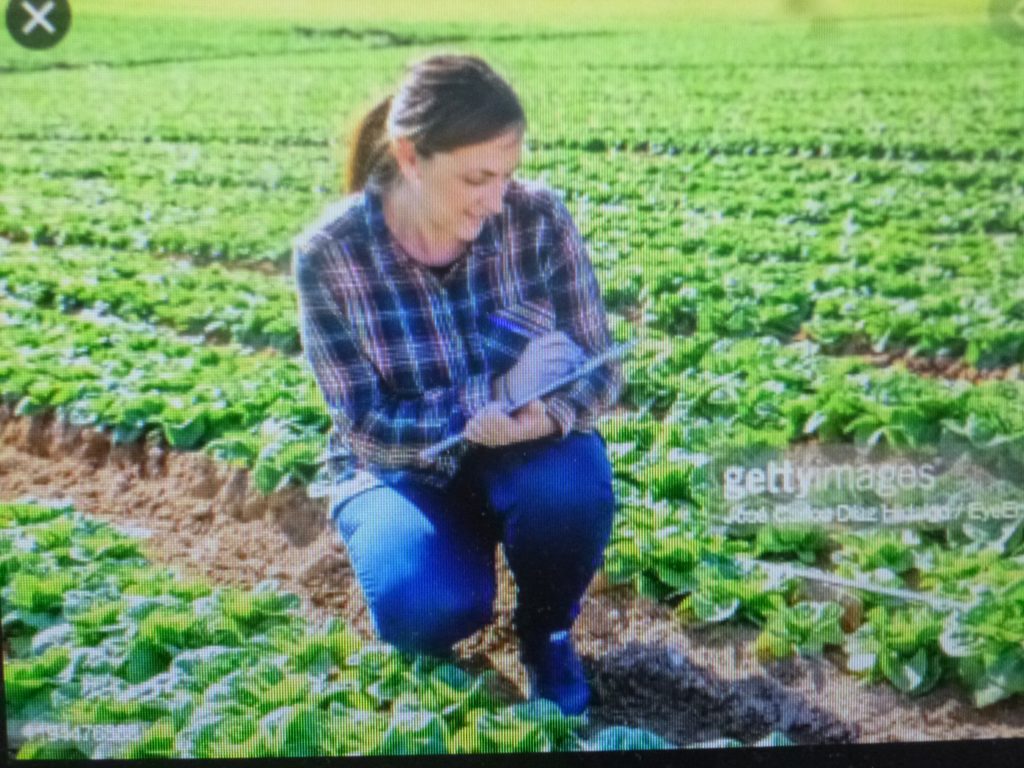 En el día del agrónomo: Un 40 por ciento en el desempleo y la informalidad