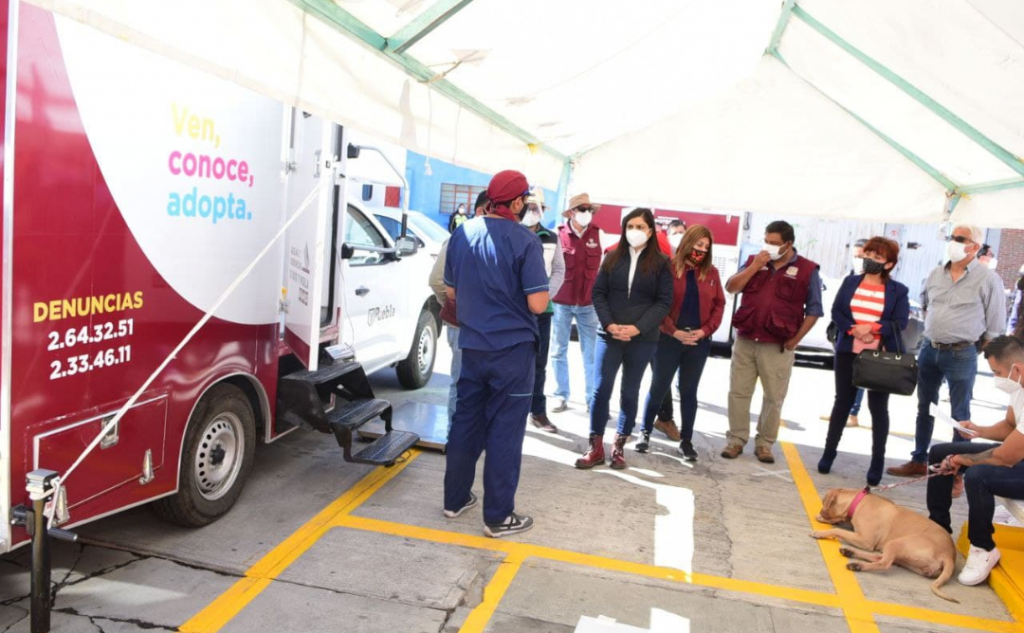 Ayuntamiento de Puebla mejorará la capacidad y condición de atención para las pequeñas especies