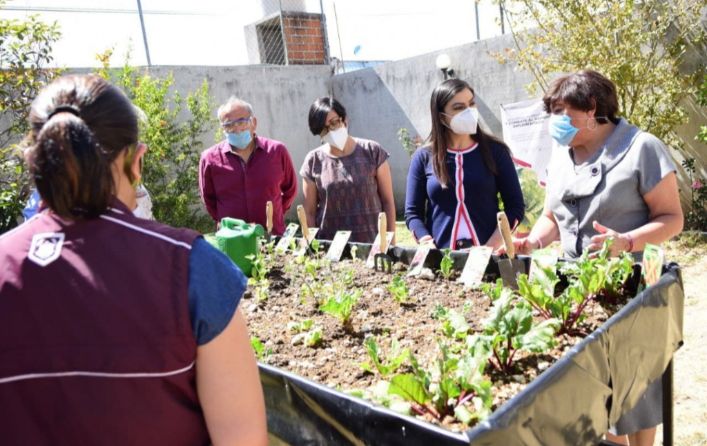 Ayuntamiento de Puebla benefició a 135 personas adultas mayores con módulos de producción alimentaria