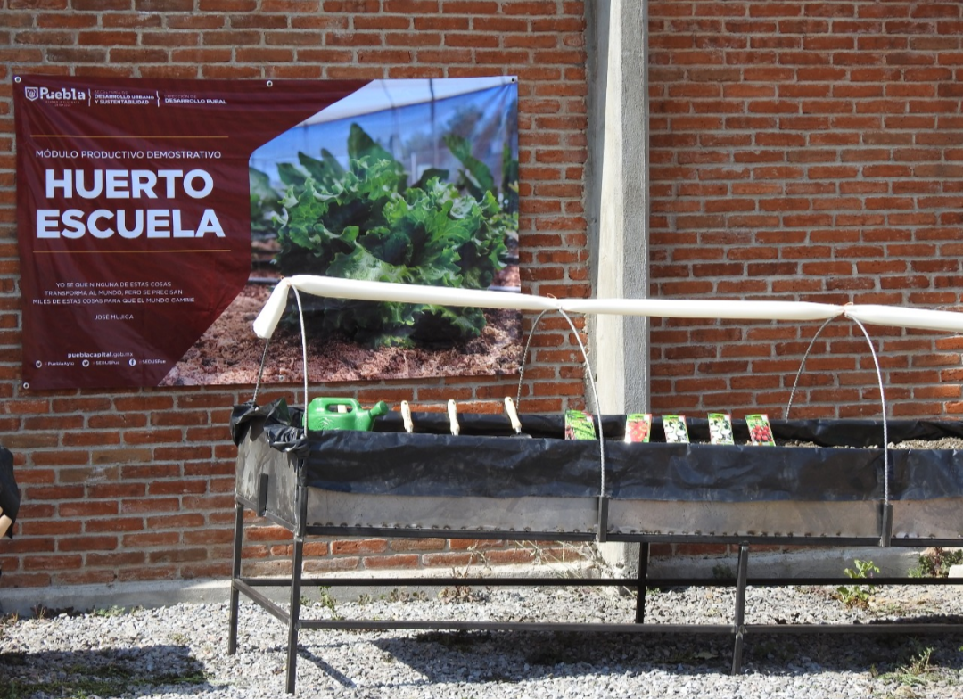 Ayuntamiento de Puebla capacita a estudiantes sobre huertos escolares
