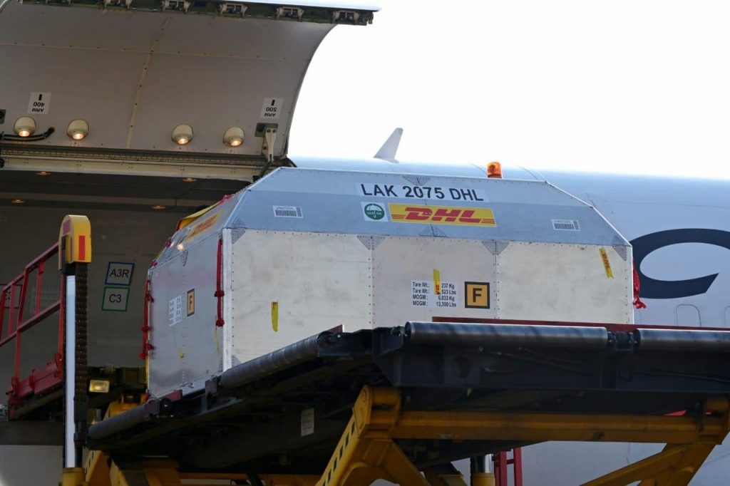 Llegaron a México otras 667 mil 875 dosis del suero Pfizer