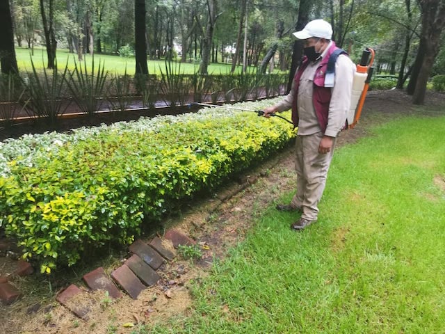 Realiza CGE acciones de mantenimiento y embellecimiento en el jardín botánico Tizatlán