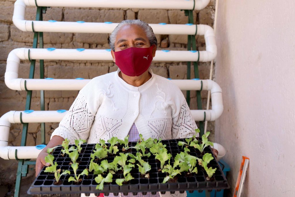 Inicia “Supérate” entrega de paquetes de hidroponía a familia beneficiarias.