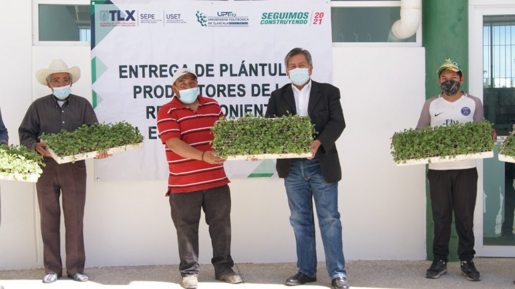 Entrega UPTREP cuatro mil plántulas de col verde y morada a productores de Hueyotlipan
