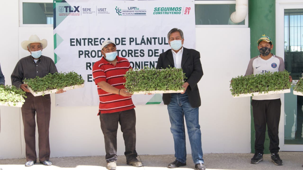 Entrega UPTREP cuatro mil plántulas de col verde y morada a productores de Hueyotlipan