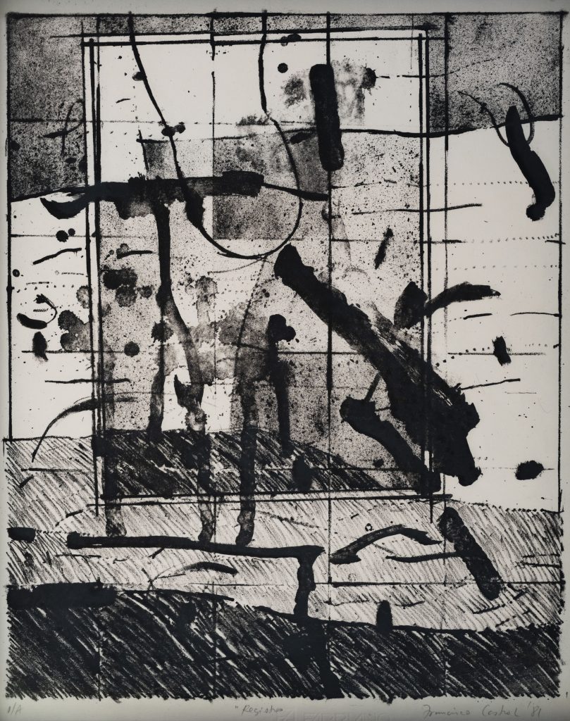 Recorrido guiado en el Museo Francisco Cossío