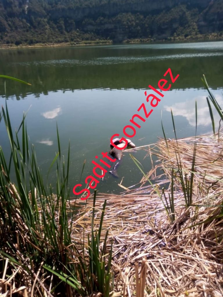 Encuentran cadáver flotando en la laguna de Aljojuca