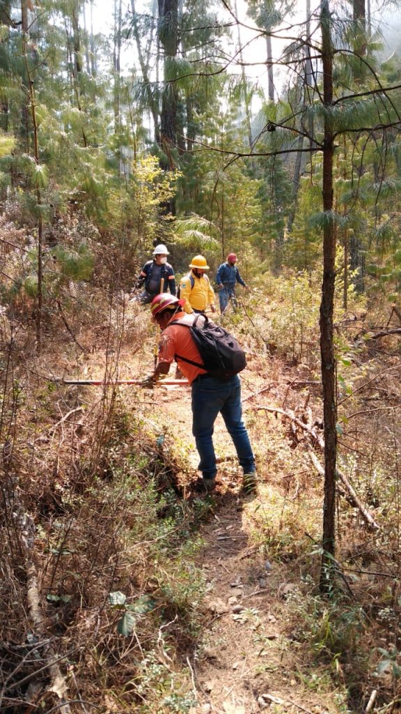 Tras una semana controlan incendio forestal en Ahuazotepec