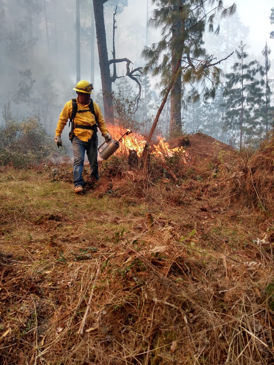 Incendio forestal en Ahuazotepec destruye 50 has
