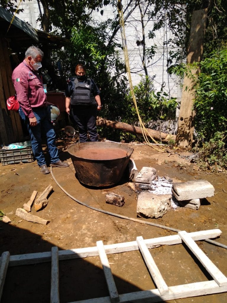 Quiso hacer carnitas a un cerdo…y terminó dentro del cazo