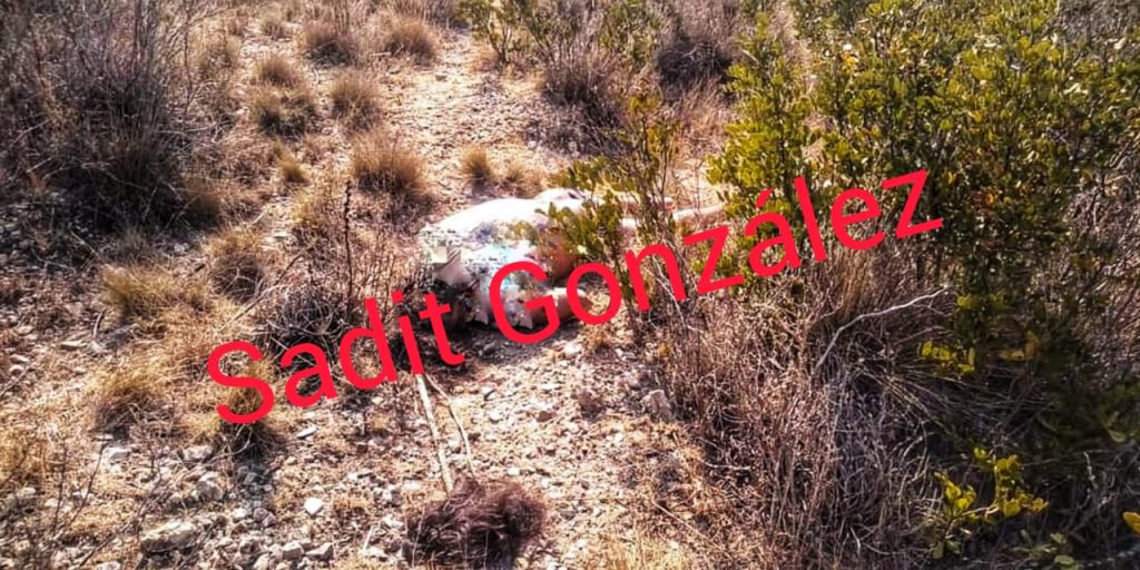 Ejecutan a hombre en Cuacnopalan