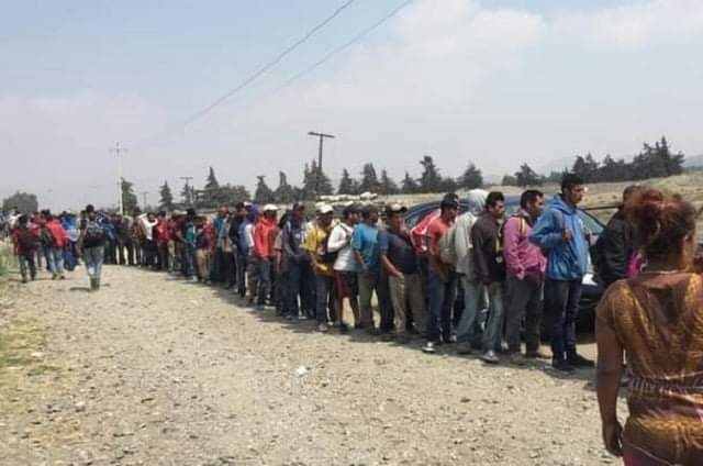 Encuentran a 48 migrantes centroamericanos en Acajete