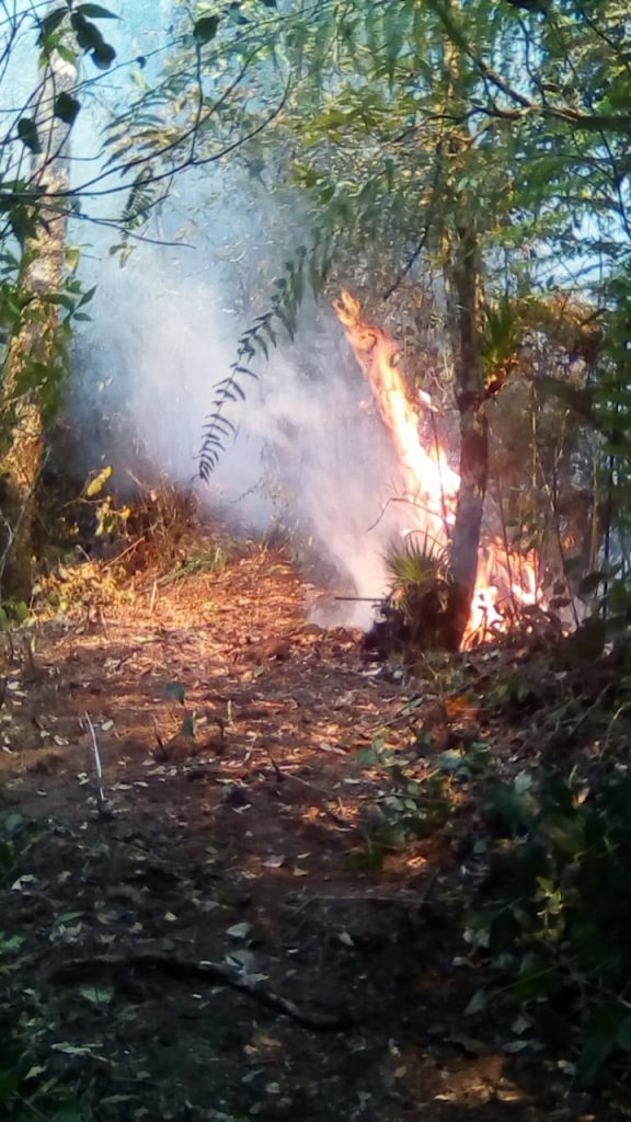 Vecinos y autoridades sofocan incendio que consumió 100 has de bosque en Huauchinango