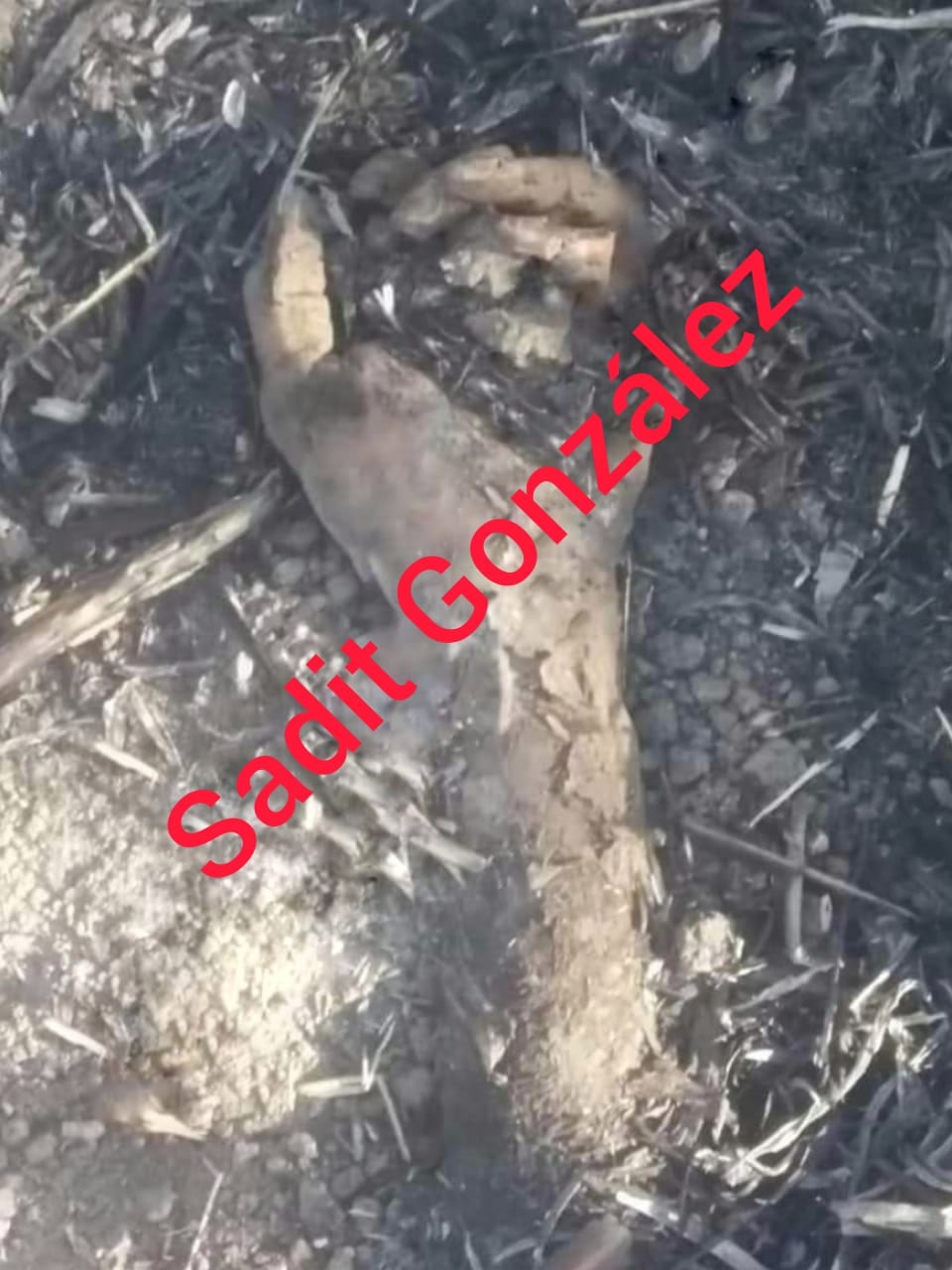 Encuentran restos humanos en Chietla