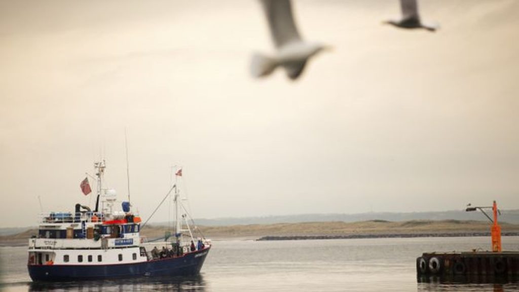 Pesca: el PE pide videovigilancia obligatoria en algunos buques