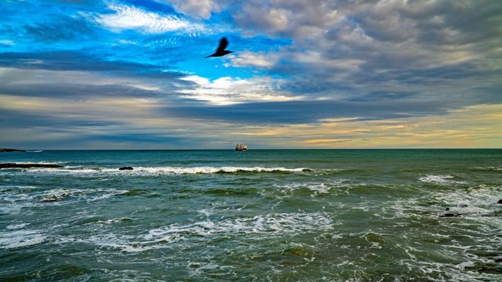 Los océanos están más amenazados que nunca, advierte la Organización Meteorológica Mundial