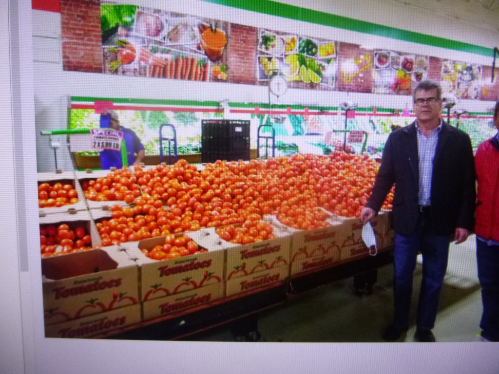 Productores de jitomate de la Sierra Norte ya exportan a supermercados de Estados Unidos