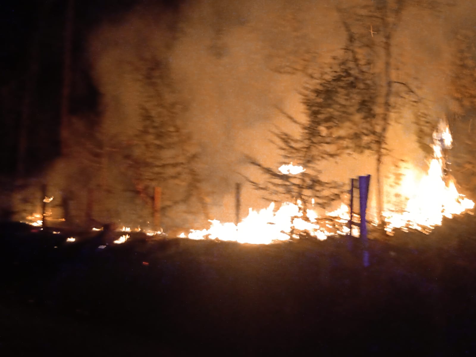 Fotonota: Se incendia zona boscosa en Huauchinango