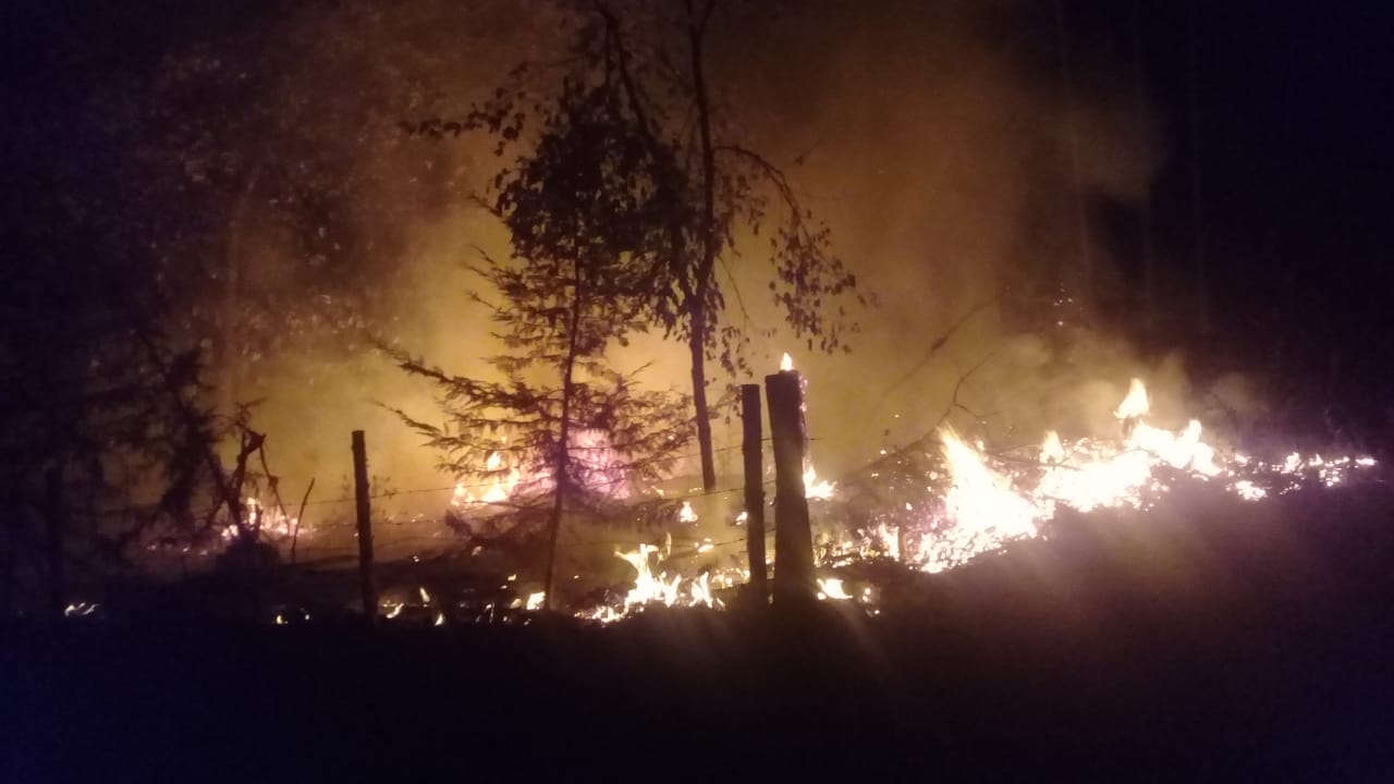 Ya estaba controlado, pero el clima reavivó incendio forestal en Huauchinango