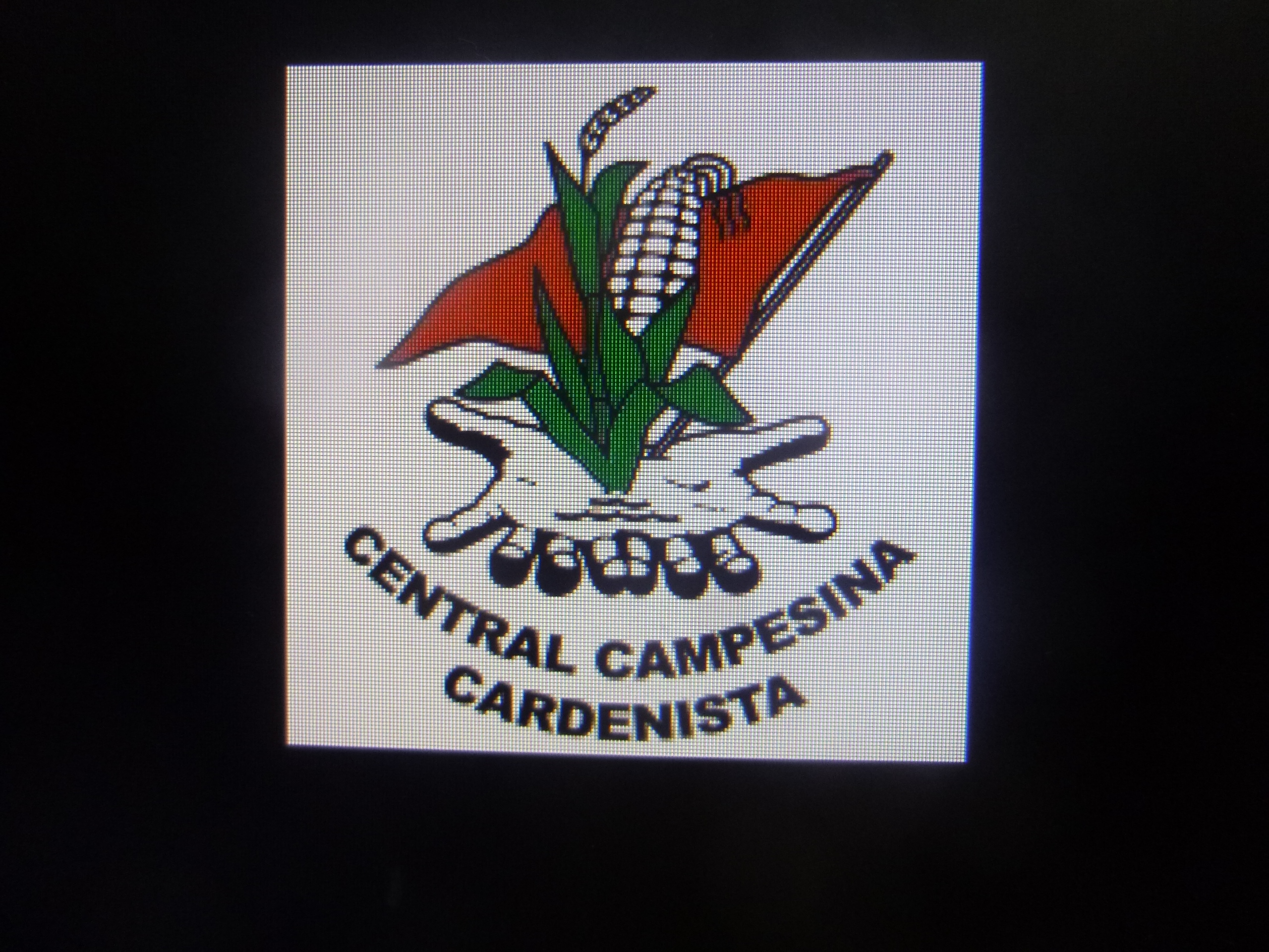 Central Campesina Cardenista pide a la SEDATU la compra de unas 2 mil 700 hectáreas