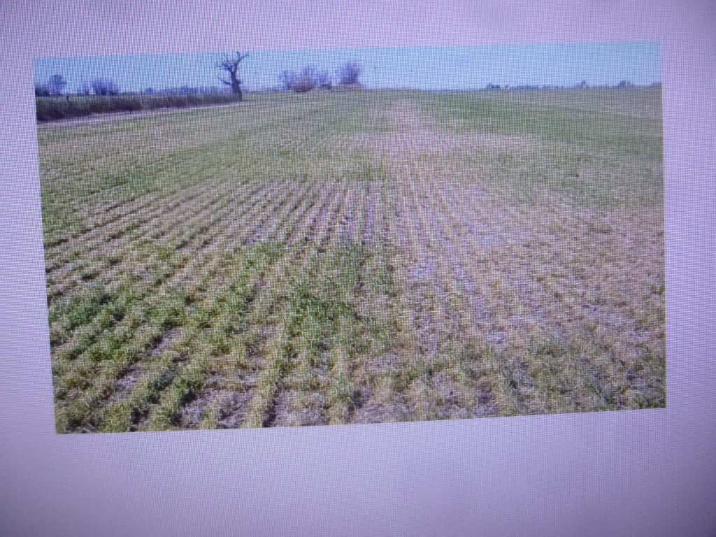 A muy bajo nivel están las presas del país, excepto las del sur