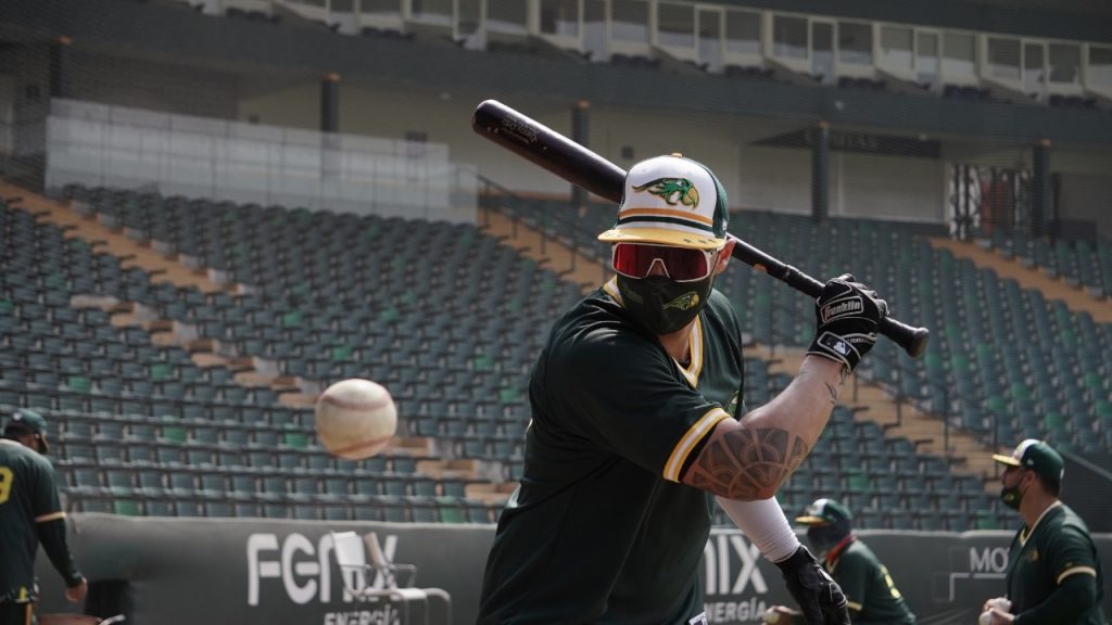 Casa llena en el nido verde