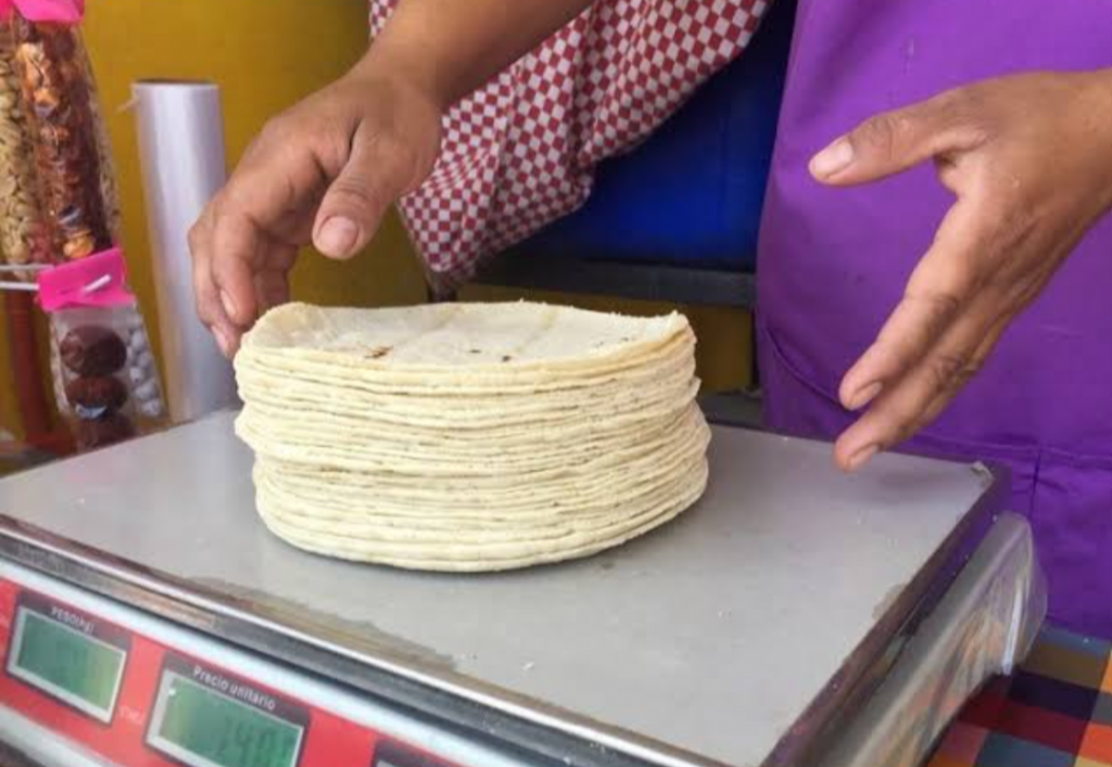 Se eleva 40% el precio de los insumos de la tortilla, advirtió Elvira Blanco