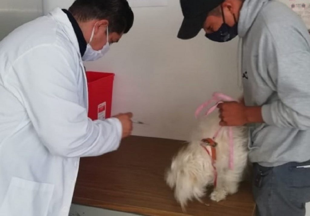 Módulo Canino Sesa ofrece atención integral