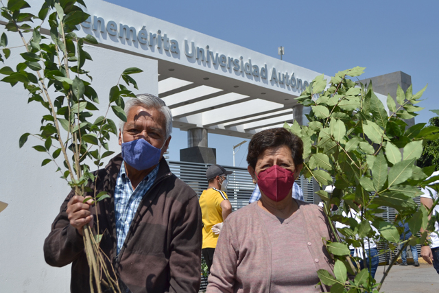 Inicia BUAP entrega de especies de la campaña Adopta un árbol